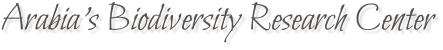 Arabia’s Biodiversity Research Center